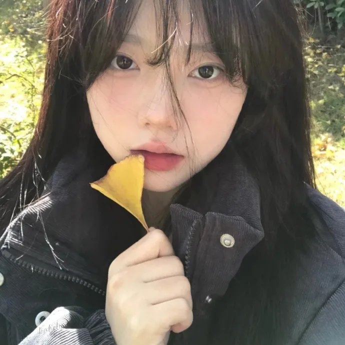 婚前协议
